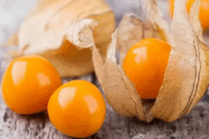 100 gr Altın Çilek, Alanya’nın tropik doğasından gelen antioksidan zengini, lezzetli ve sağlıklı atıştırmalık. Şimdi avokadom.com’da sizi bekliyor!