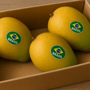 3 kg ithal mango ile tropik lezzeti sofranıza taşıyın. Tatlı, sulu ve özenle seçilmiş mangolar şimdi avokadom.com’da!