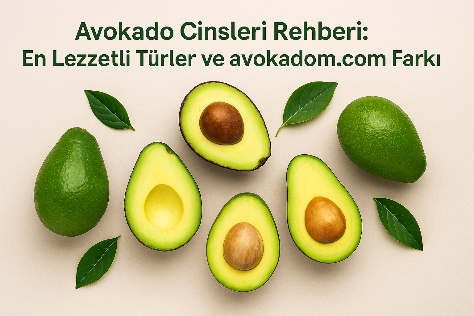 Farklı avokado cinslerini yakından tanıyın. Lezzet, doku ve kullanım alanlarıyla öne çıkan cinsleri avokadom.com rehberinde keşfedin.