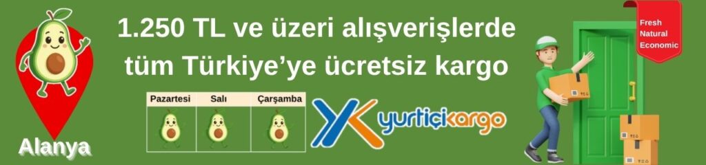 avokadom.com anasayfa: Taze avokado ve tropikal meyvelerle dolu, Alanya’dan sofranıza doğal lezzetler sunan güvenli alışveriş adresi.
