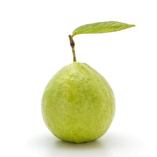 Guava 1 adet, yoğun aroması ve C vitamini zenginliğiyle bağışıklığı destekler. Tropikal meyveler arasında ferahlatıcı ve besleyici bir tercihtir.
