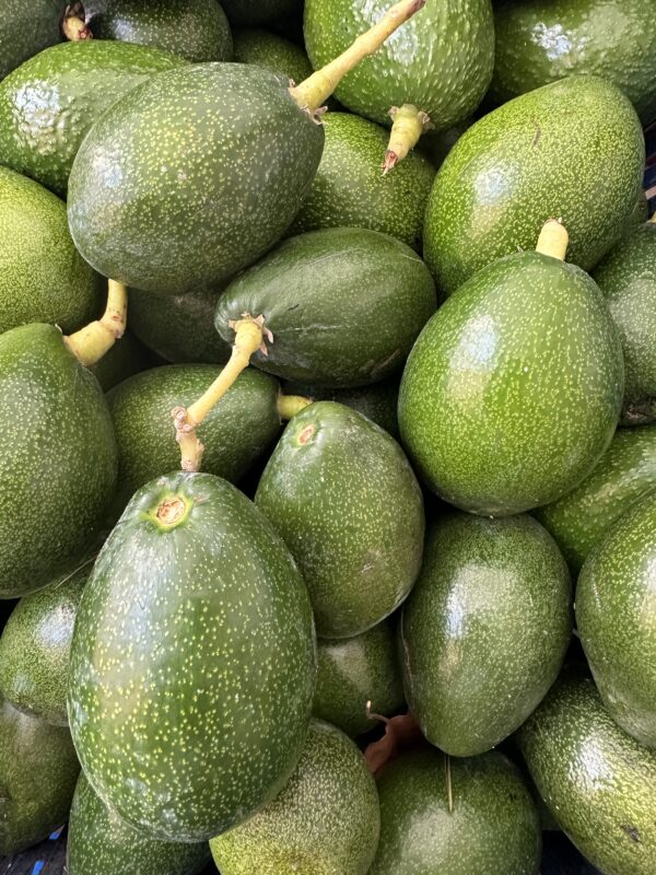 10 adet Clifton cinsi, 150-250 gr arası taze avokado. Kahvaltı, salata ve sağlıklı tarifler için ideal.