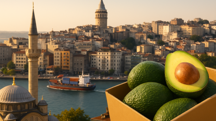 İstanbul Avokado Siparişi İçin En Doğal Seçenek: Alanya’dan İstanbul’a taze, yerli ve katkısız avokado gönderimiyle sofranıza doğallık geliyor.